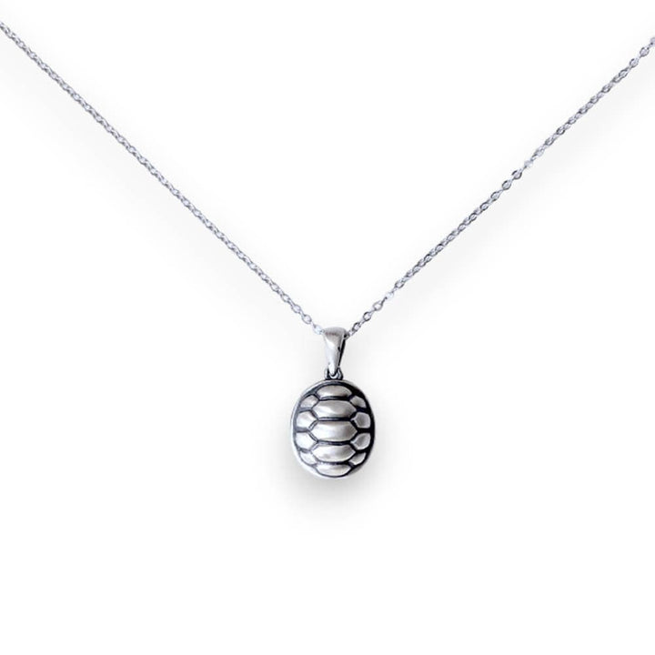 CimarroneAMX Dije Tortuga Plata .925