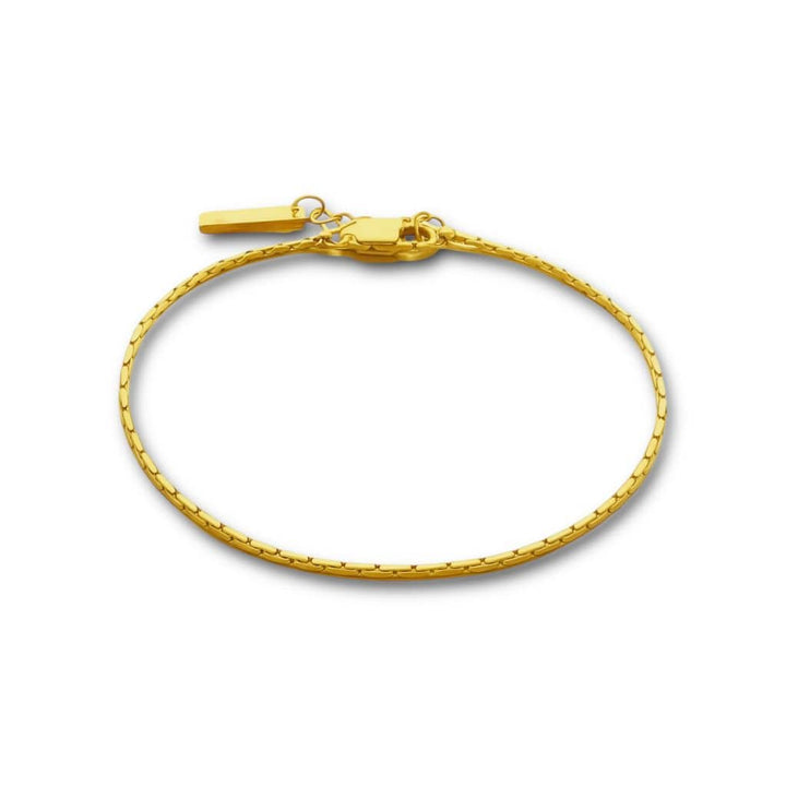 CimarroneAMX Pulsera / Cepillado / Dorado Cadena y pulsera minimal delgada
