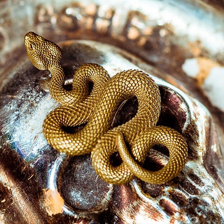 CimarroneAMX Dije Dije o Llavero Serpiente Escamas Dorado