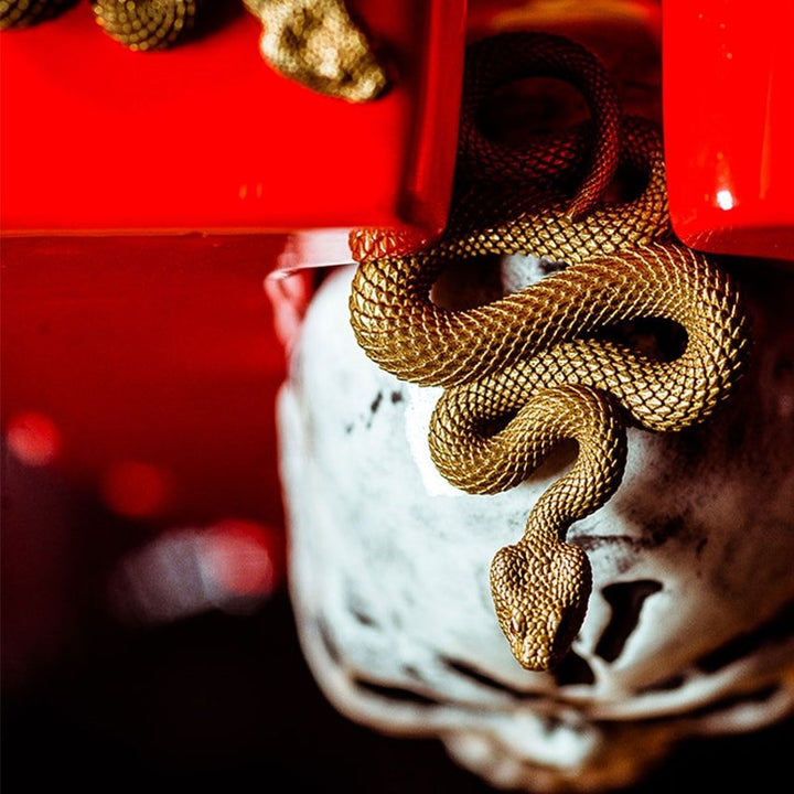 llavero-serpiente-dorada-veneno-cimarrone-accesorios-alternativos-principal-min